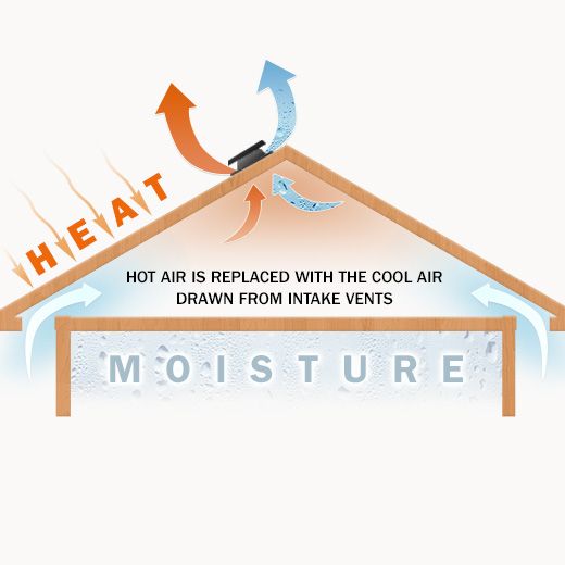 Ceiling Fan Electrical Experts in Oakwood